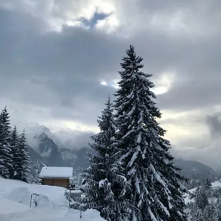 特吉撒费雷拉酒店 度假居 Schmitten (Grisons)