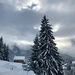 Tgesa Ferrera Nyaraló Schmitten